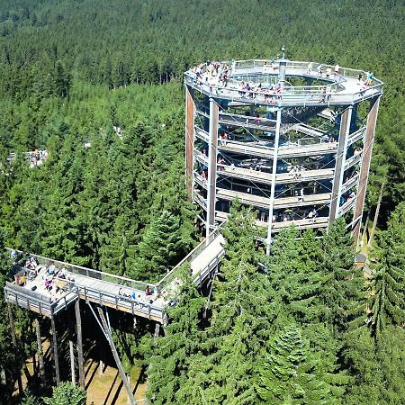 Апартаменты Lipno Riviera - Mysi V Bote Липно-над-Влтавой Экстерьер фото