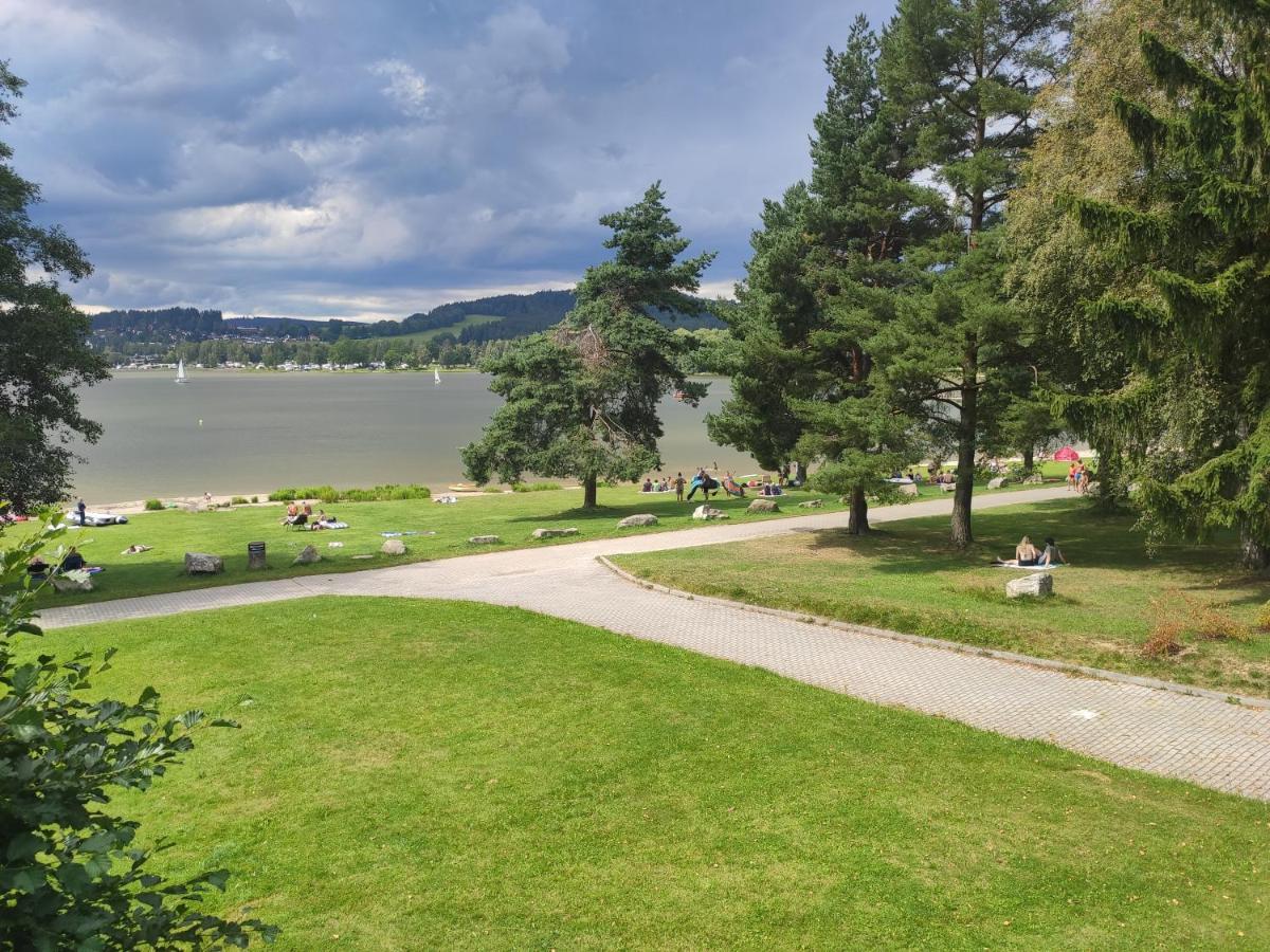 Апартаменты Lipno Riviera - Mysi V Bote Липно-над-Влтавой Экстерьер фото