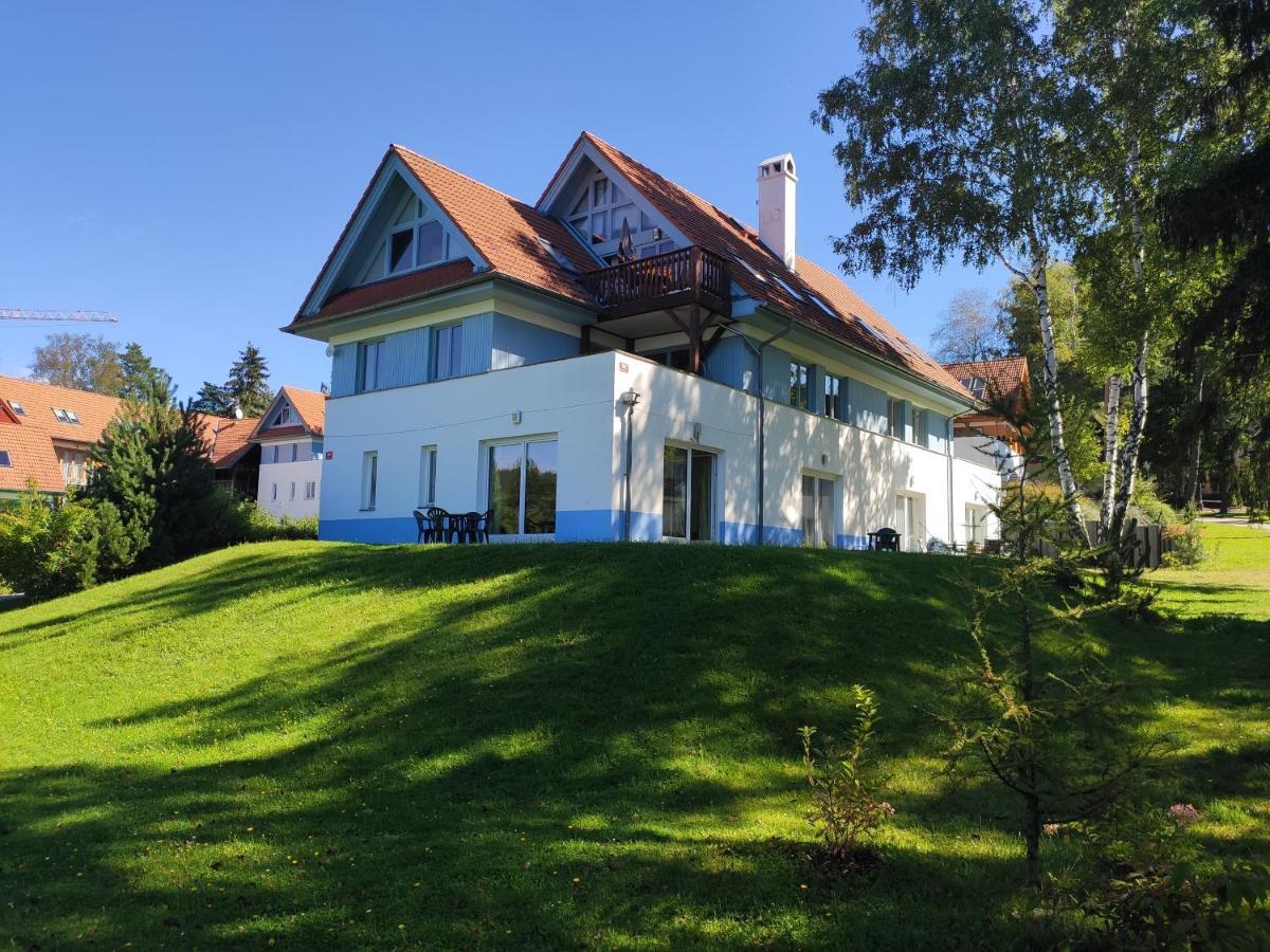 Апартаменты Lipno Riviera - Mysi V Bote Липно-над-Влтавой Экстерьер фото