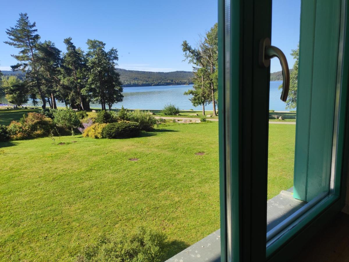 Апартаменты Lipno Riviera - Mysi V Bote Липно-над-Влтавой Экстерьер фото