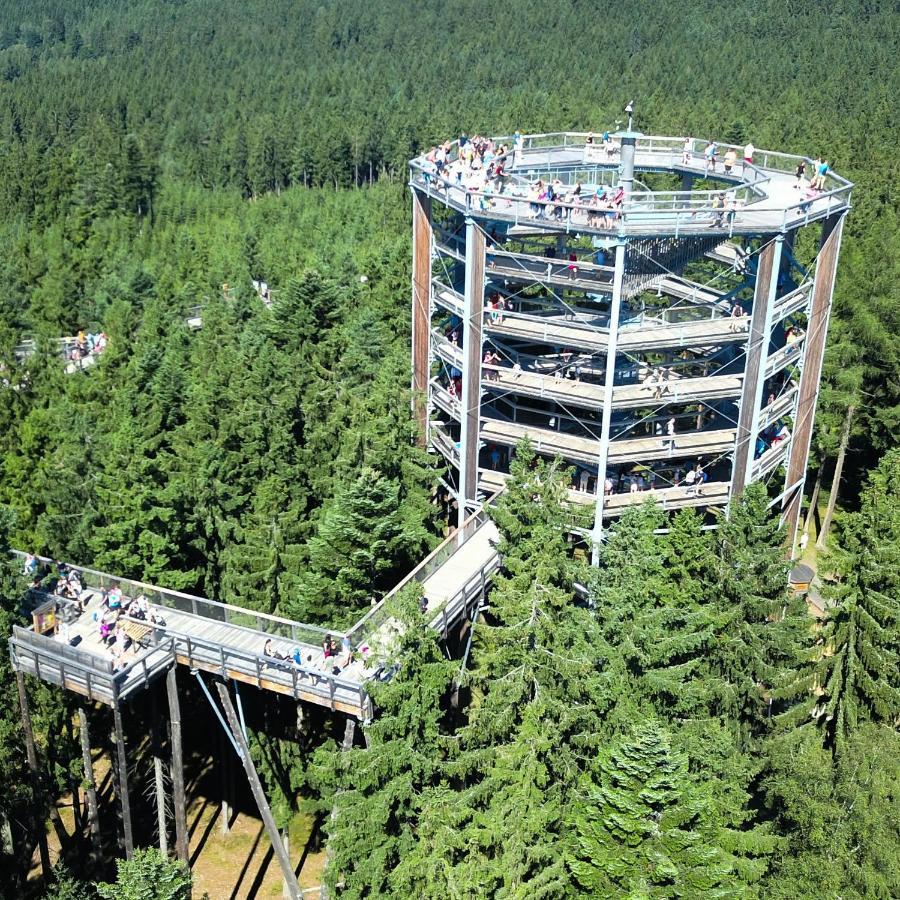 Апартаменты Lipno Riviera - Mysi V Bote Липно-над-Влтавой Экстерьер фото