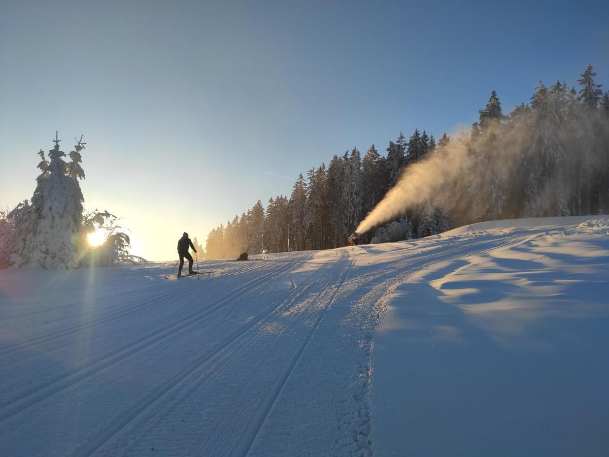 Апартаменты Lipno Riviera - Mysi V Bote Липно-над-Влтавой Экстерьер фото